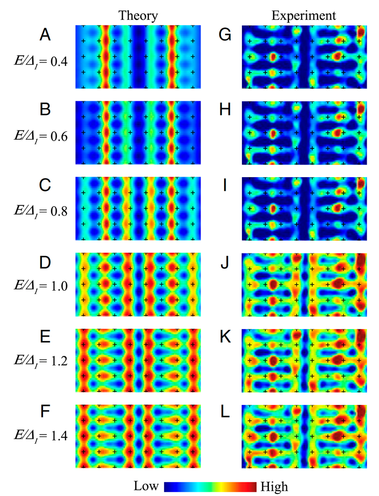 Left: Column shows the predicted Bogoliubov quasiparticle density
of states of an the 8a0 periodic dFF pair density wave coexisting with d-wave
superconductivity model for underdoped cuprates. Right: column shows the
measured Bogoliubov quasiparticle density of states observed within the density
waves of underdoped Bi2Sr2CaCu2O8.