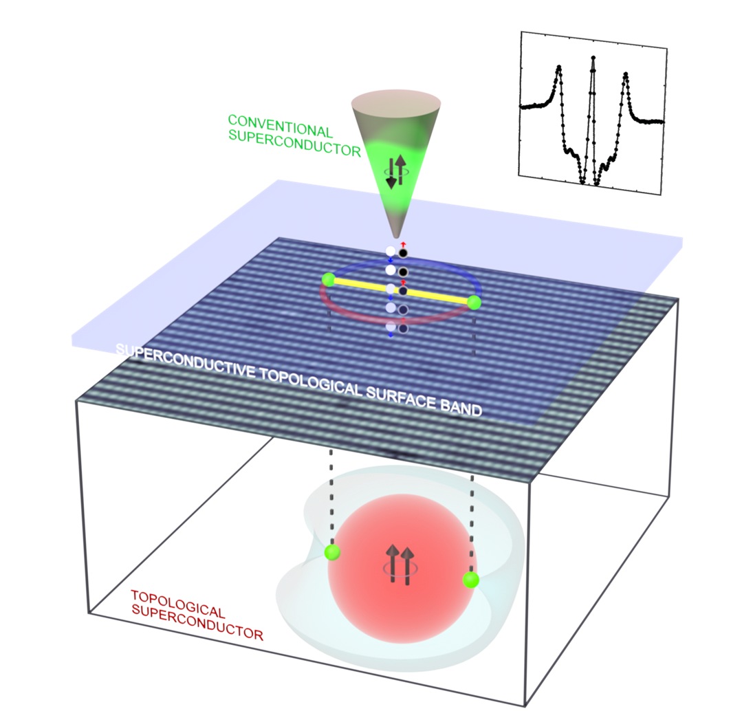 Schematic diagram of scanned Andreev tunneling microscope setup
for studies of intrinsic topological superconductivity . The superconductive
topological surface band of quasiparticles intervenes inside the junction between
an s-wave scan tip and a p-wave intrinsic topological superconductor.